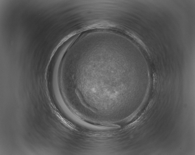 X0000084561026200702231226