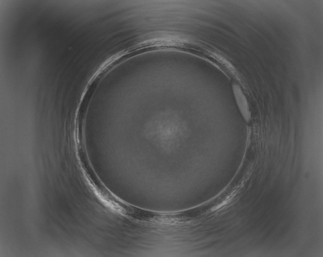 X0000084561034200702231226
