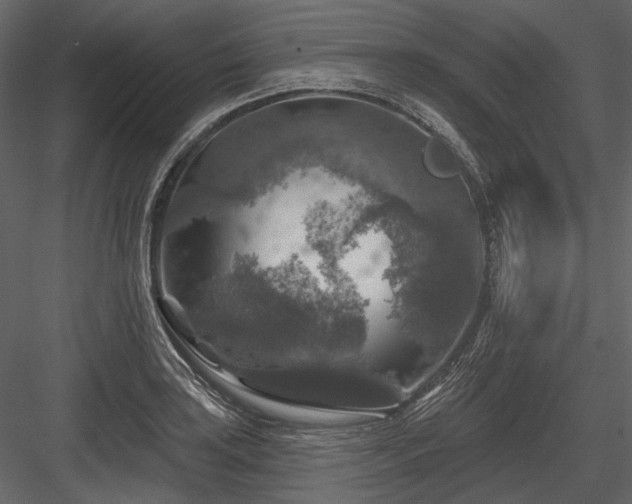 X0000084561035200702231226