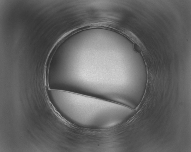 X0000084561036200702231226