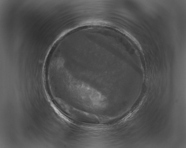 X0000084561037200702231226