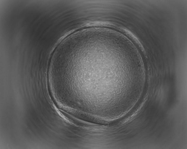X0000084561041200702231227