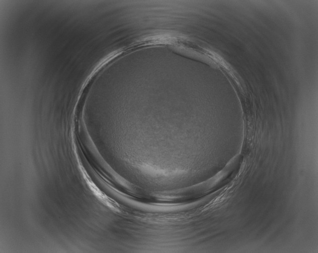 X0000084561042200702231227