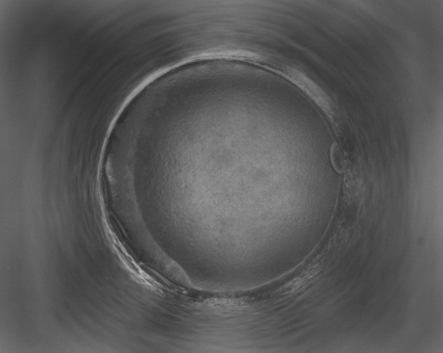 X0000084561044200702231227