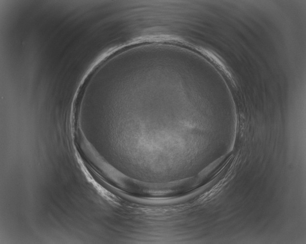 X0000084561046200702231227