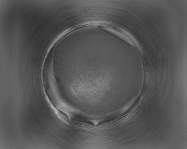 X0000084561050200702231227