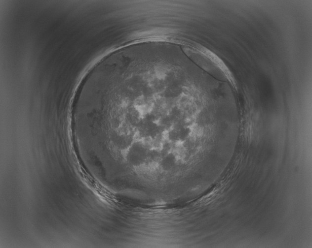 X0000084561051200702231227
