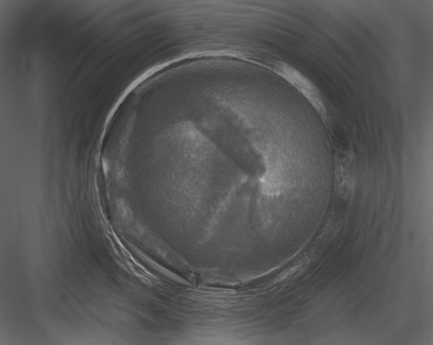X0000084561052200702231227