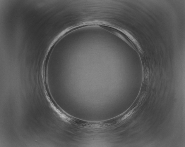 X0000084561054200702231227