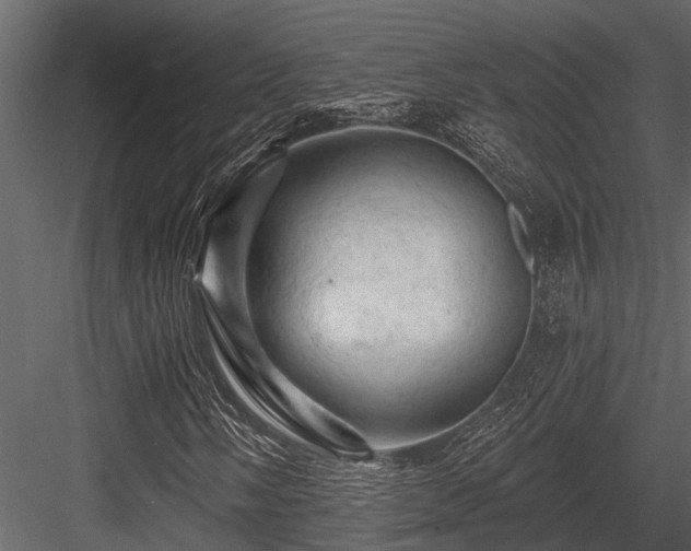X0000084561058200702231226