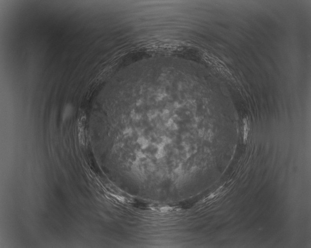 X0000084561059200702231226
