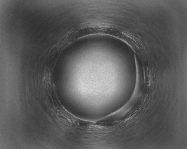 X0000084561061200702231226