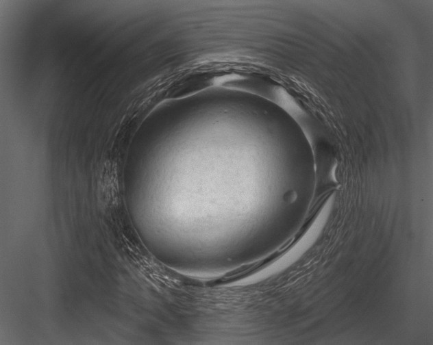 X0000084561062200702231226