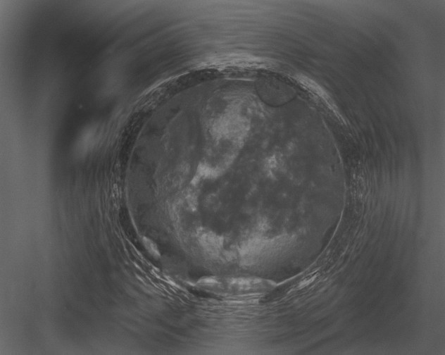 X0000084561063200702231226