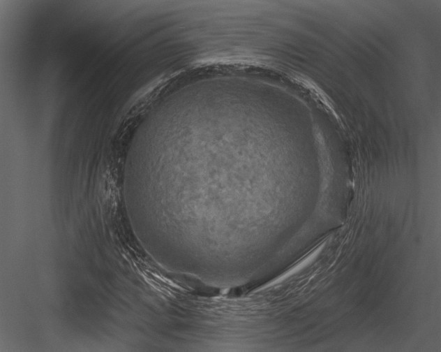 X0000084561064200702231226
