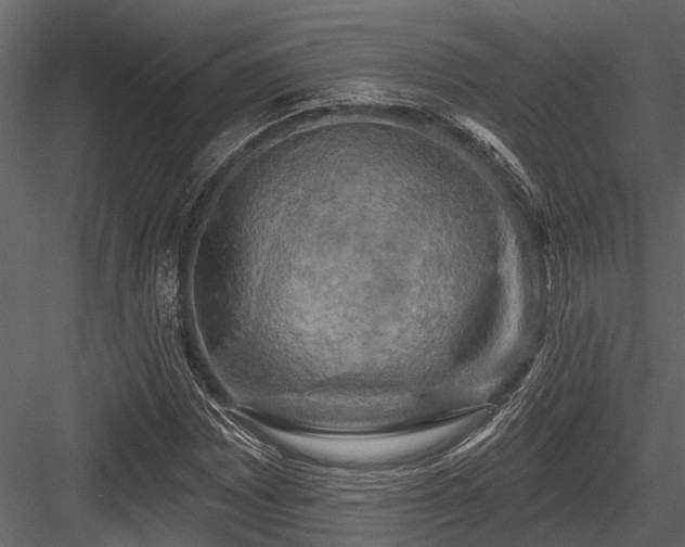 X0000084561065200702231226
