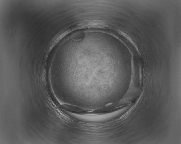 X0000084561066200702231226