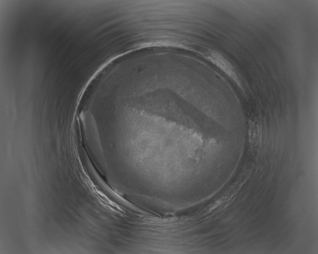 X0000084561068200702231226