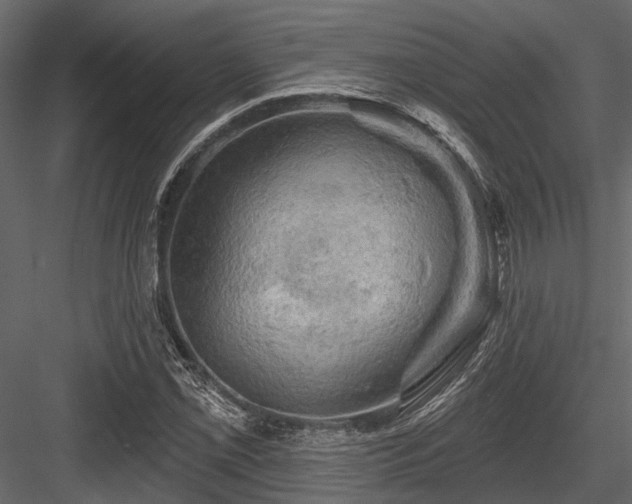X0000084561069200702231226