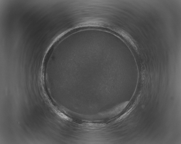 X0000084561077200702231226