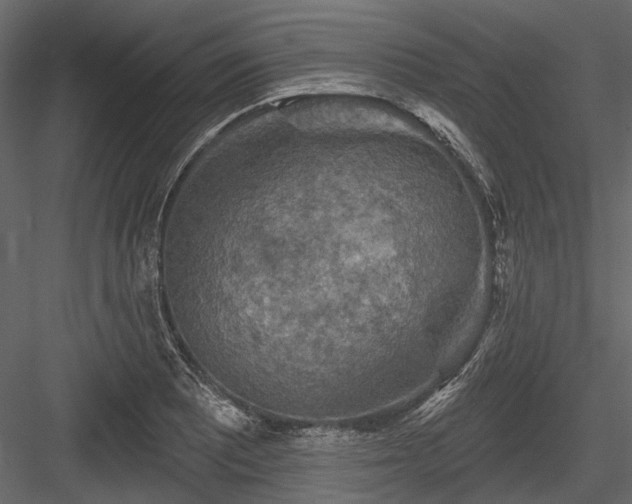 X0000084561081200702231226
