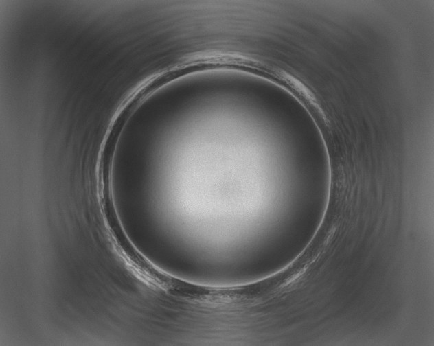 X0000084561082200702231225