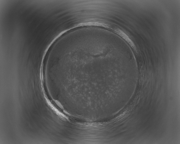 X0000084561084200702231225