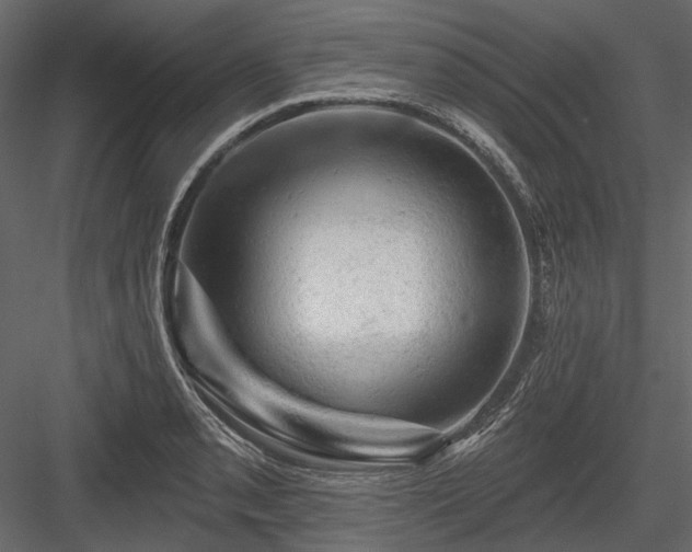 X0000084561085200702231225