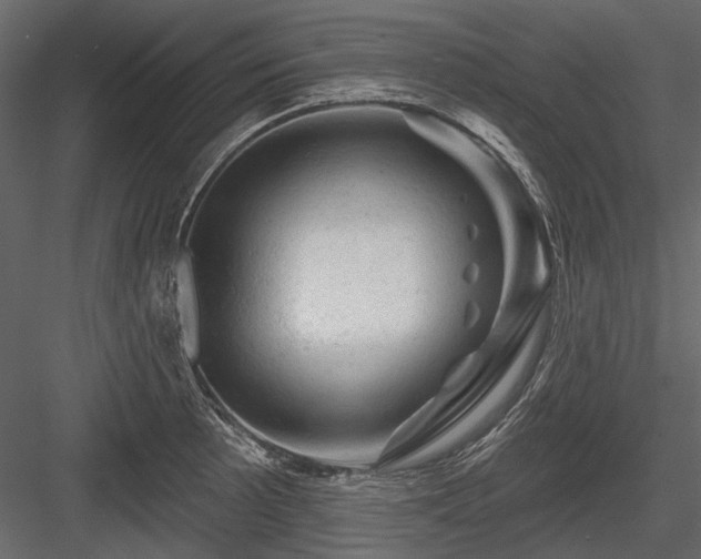 X0000084561089200702231225