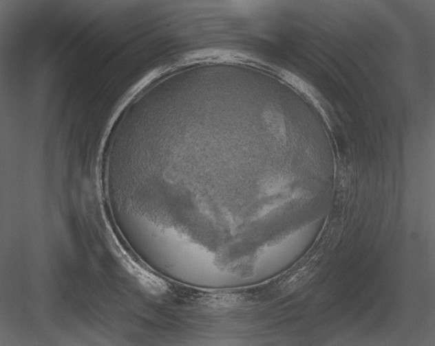 X0000084561090200702231225
