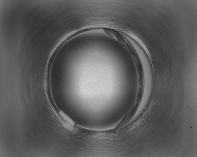 X0000084561093200702231225