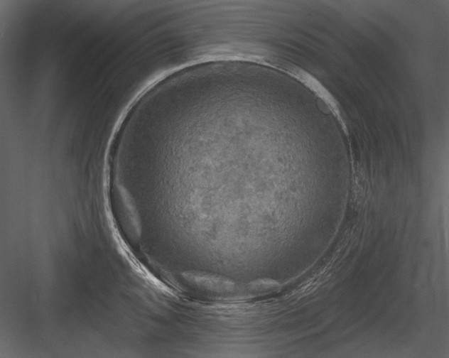 X0000084561096200702231225