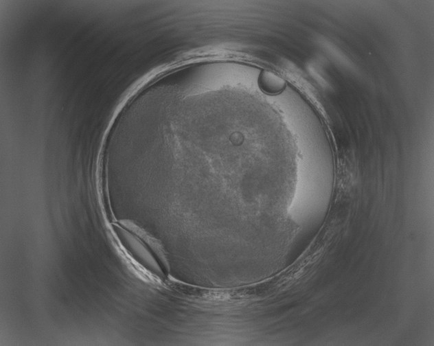 X0000084561098200702231225