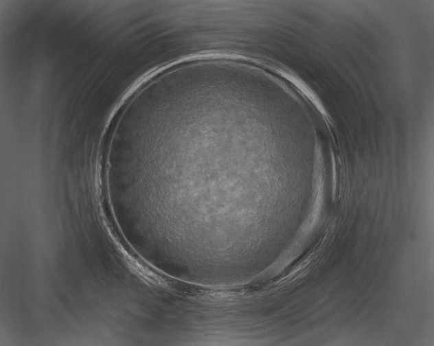 X0000084561101200702231225