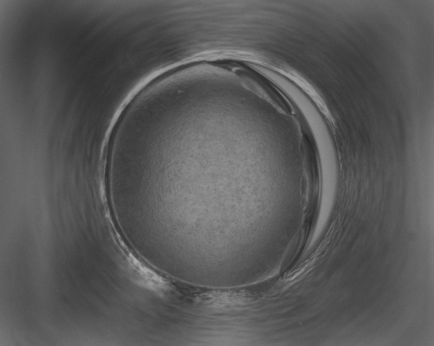 X0000084561102200702231225