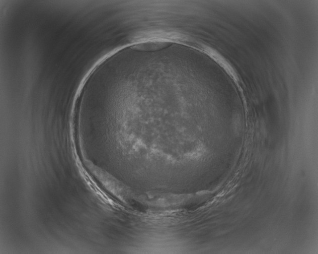 X0000084561104200702231225