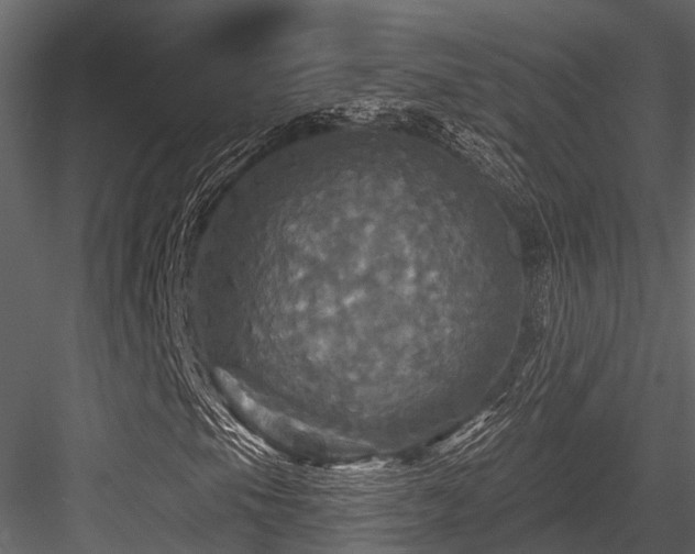 X0000084561105200702231224