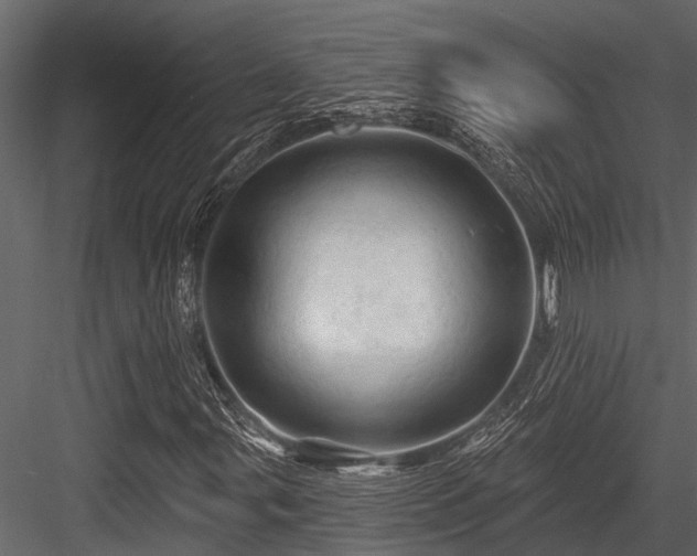 X0000084561107200702231224