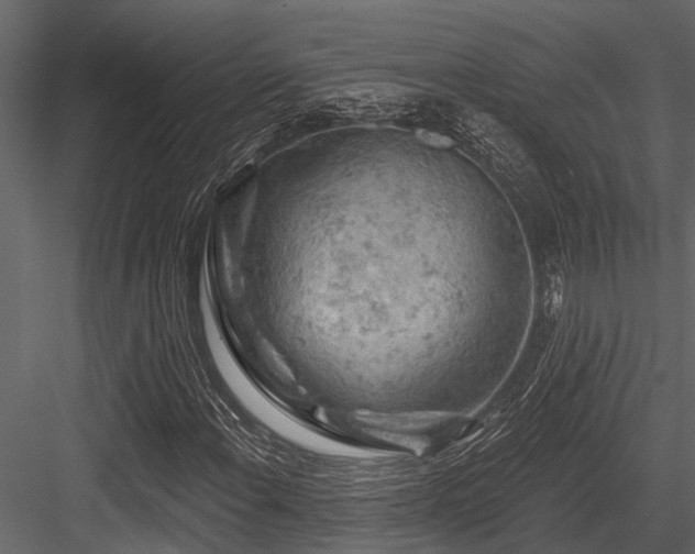 X0000084561108200702231224