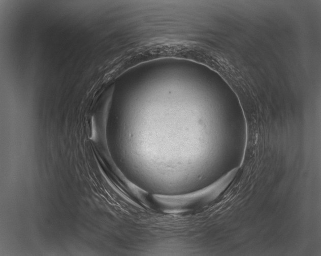 X0000084561109200702231224