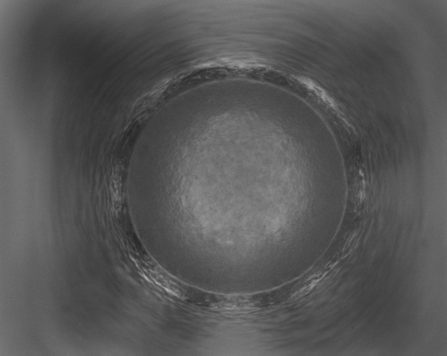 X0000084561110200702231224