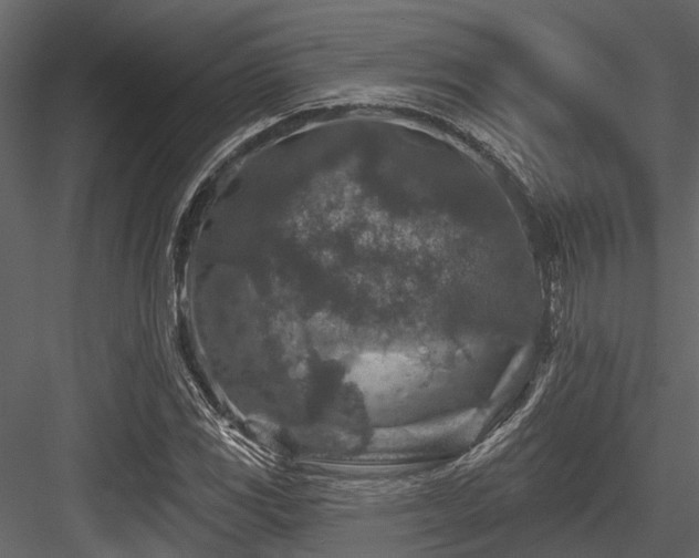 X0000084561117200702231224