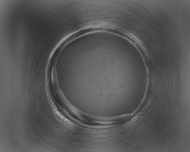 X0000084561120200702231225