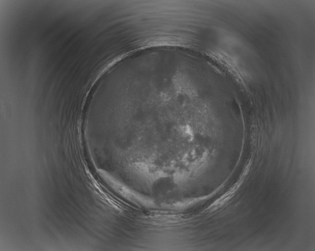 X0000084561121200702231225
