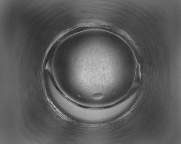 X0000084561122200702231225