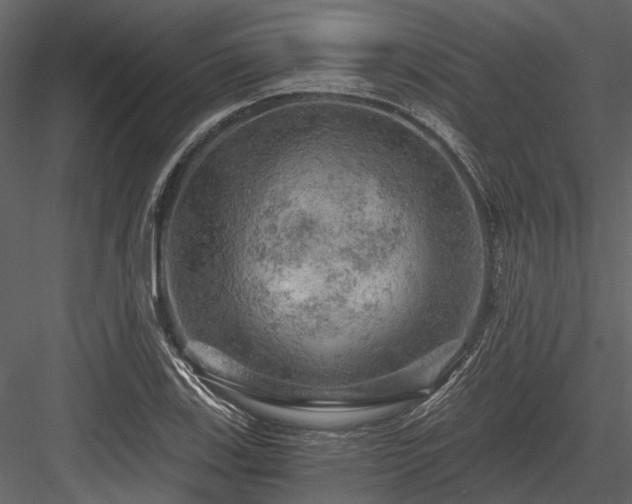 X0000084561123200702231225