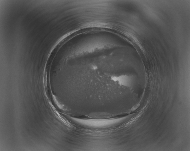 X0000084561125200702231225