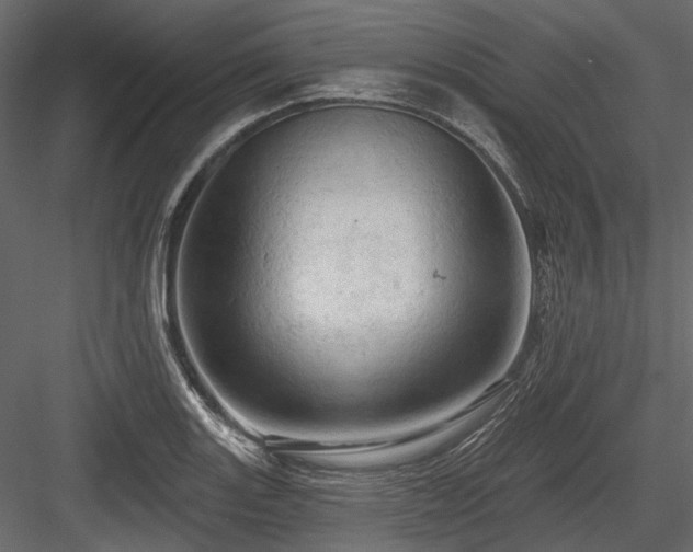 X0000084561131200702231225