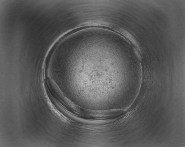 X0000084561132200702231225