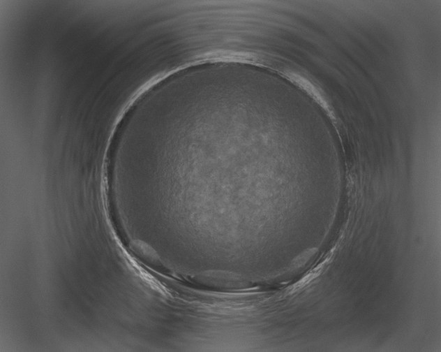 X0000084561133200702231225